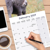 CALENDRIER 2027 - ANES