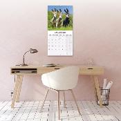 CALENDRIER 2026 - ANES
