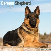 CALENDRIER 2026 - BERGER ALLEMAND