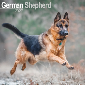 CALENDRIER 2027 - BERGER ALLEMAND