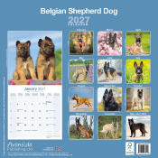 CALENDRIER 2027 - BERGER BELGE