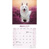 CALENDRIER 2026 - BERGER BLANC SUISSE