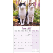 CALENDRIER 2027 - CHATS DIVERSES RACES