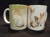 TASSE / MUG -  CHAT CORNISH REX CAT