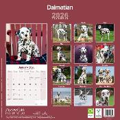 CALENDRIER 2026 - DALMATIEN