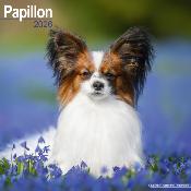 CALENDRIER 2026 - EPAGNEUL PAPILLON NAIN
