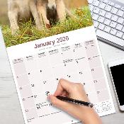 CALENDRIER 2026 - IRISH WOLFHOUND