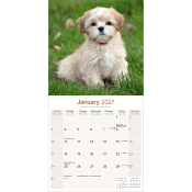 CALENDRIER 2027 - LHASSA APSO