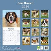 CALENDRIER 2026 - SAINT BERNARD