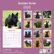 CALENDRIER 2026 - SCOTTISH TERRIER