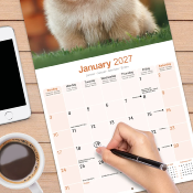 CALENDRIER 2027 - SPITZ NAIN