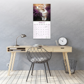 CALENDRIER 2027 - WELSH CORGI