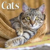 CALENDRIER 2019 - CHATS