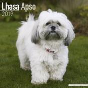 CALENDRIER 2019 - LHASSA APSO