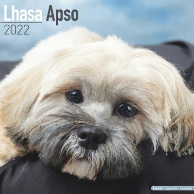 CALENDRIER 2022 - LHASSA APSO