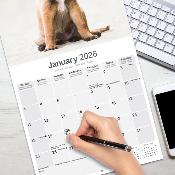 CALENDRIER 2026 - BERGERS BELGES