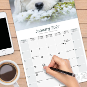 CALENDRIER 2027 - BICHON FRISE