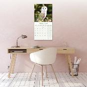 CALENDRIER 2026 - CHOUETTES