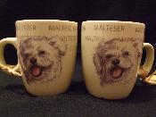 TASSE / MUG -  SENSEO - CHIEN BICHON MALTAIS