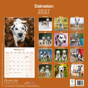 CALENDRIER 2027 - DALMATIEN
