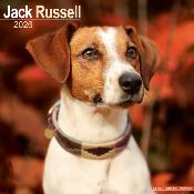 CALENDRIER 2026 - JACK RUSSEL