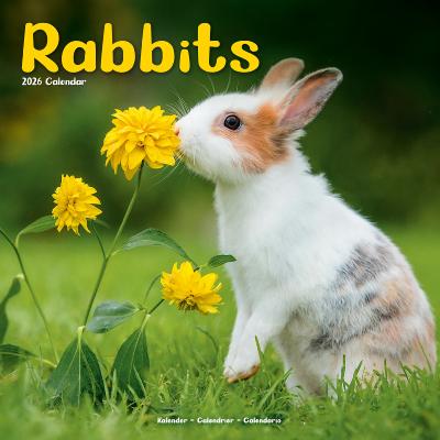 CALENDRIER 2026 - LAPINS NAINS
