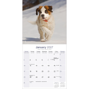 CALENDRIER 2027 - SAINT-BERNARD