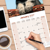 CALENDRIER 2027 - SCHNAUZER