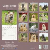 CALENDRIER 2023 - CAIRN TERRIER