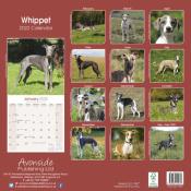 CALENDRIER 2022 - WHIPPET