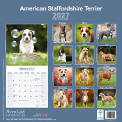 CALENDRIER 2027 - AMERICAN STAFFORDSHIRE TERRIER