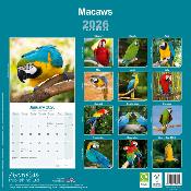 CALENDRIER 2026 - ARAS