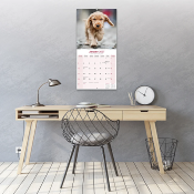 CALENDRIER 2027 - COCKER ANGLAIS