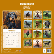 CALENDRIER 2027 - DOBERMAN
