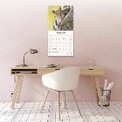 CALENDRIER 2026 - ECUREUILS