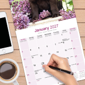 CALENDRIER 2027 - LABRADOR CHOCOLAT