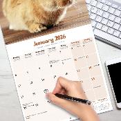 CALENDRIER 2026 - LAPINS NAINS