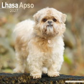 CALENDRIER 2027 - LHASSA APSO