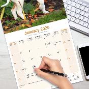 CALENDRIER 2026 - POINTER