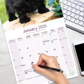 CALENDRIER 2026 - SCOTTISH TERRIER