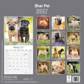 CALENDRIER 2027 - SHAR PEI
