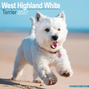 CALENDRIER 2027 - WEST HIGHLAND TERRIER
