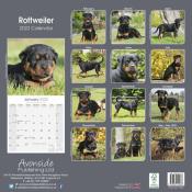 CALENDRIER 2022 - ROTTWEILER