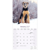 CALENDRIER 2027 - AIREDALE