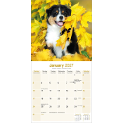 CALENDRIER 2027 - BERGER AUSTRALIEN