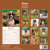 CALENDRIER 2027 - BOXER