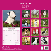 CALENDRIER 2027 - BULL TERRIER