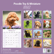 CALENDRIER 2027 - CANICHE TOY ET NAIN