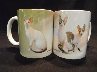 TASSE / MUG -  CHAT CORNISH REX CAT