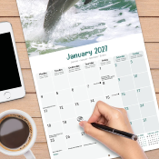 CALENDRIER 2027 - DAUPHINS